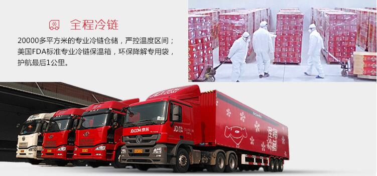 冷鏈市場可行性分析
